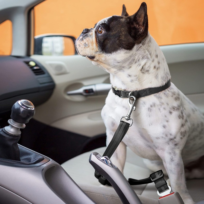 Arnés Retráctil para Perro en  - Snap Fastener Setter reseña y precio